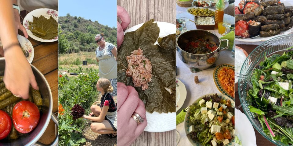 Traditional food — illustrative photo for Vegan Fam Festival — September Dates Awaited