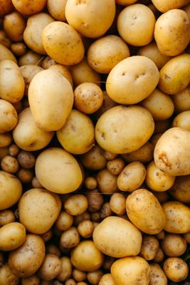 Potato — illustrative photo for Xylofagou Potato Festival — September Date Awaited